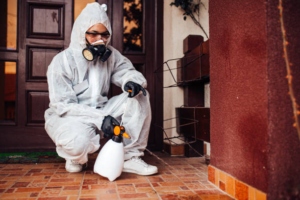 Reliable Cockroach Control contractor in Lake Dallas, TX by Nex Pest Control